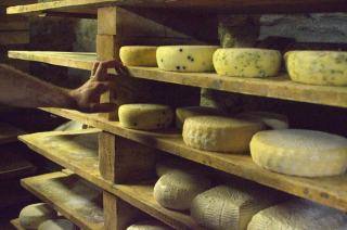 Tomme de Savoie enceinte : risques et fromages autorisés