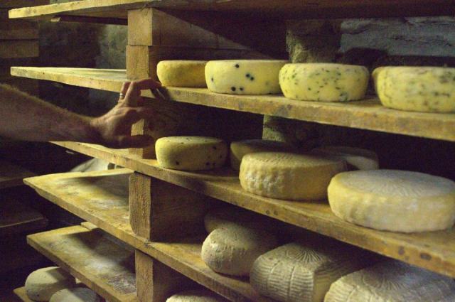 Fromages pendant la grossesse : lesquels manger sans risque