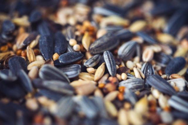 Graines de tournesol enceinte et grossesse : guide alimentation Oméga-3 et huiles végétales pendant la grossesse : guide pratique