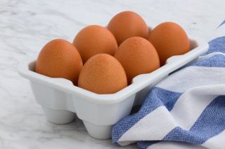 Oeuf au plat enceinte : cuisson, salmonellose et conseils